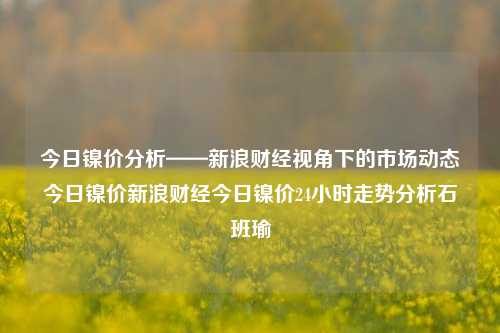 今日镍价分析——新浪财经视角下的市场动态今日镍价新浪财经今日镍价24小时走势分析石班瑜