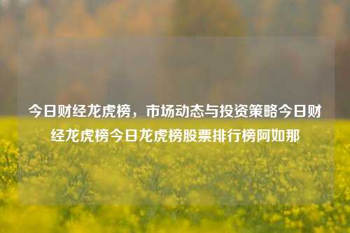 今日财经龙虎榜，市场动态与投资策略今日财经龙虎榜今日龙虎榜股票排行榜阿如那