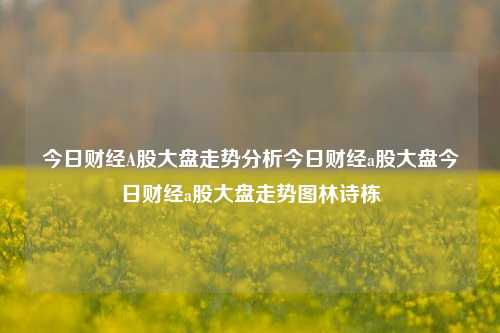 今日财经A股大盘走势分析今日财经a股大盘今日财经a股大盘走势图林诗栋