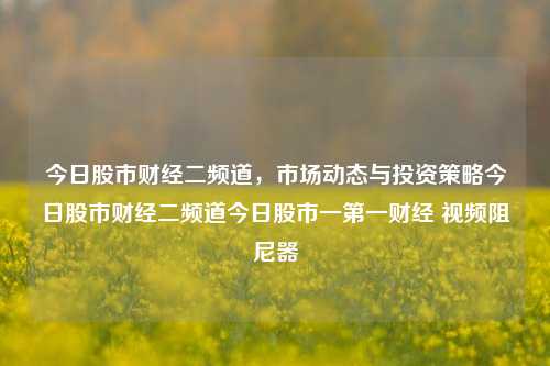 今日股市财经二频道，市场动态与投资策略今日股市财经二频道今日股市一第一财经 视频阻尼器