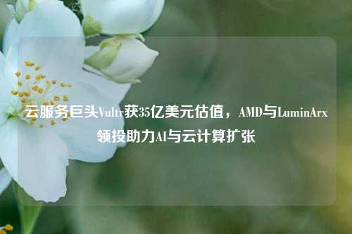 云服务巨头Vultr获35亿美元估值，AMD与LuminArx领投助力AI与云计算扩张