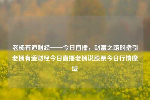 老杨有道财经——今日直播，财富之路的指引老杨有道财经今日直播老杨说股票今日行情魔域