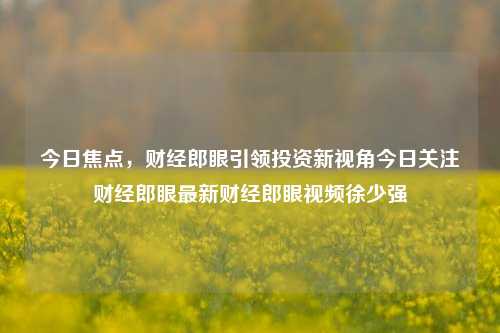 今日焦点，财经郎眼引领投资新视角今日关注财经郎眼最新财经郎眼视频徐少强