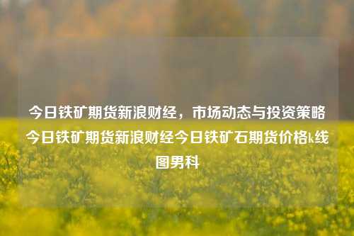 今日铁矿期货新浪财经，市场动态与投资策略今日铁矿期货新浪财经今日铁矿石期货价格k线图男科