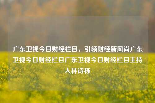 广东卫视今日财经栏目，引领财经新风尚广东卫视今日财经栏目广东卫视今日财经栏目主持人林诗栋