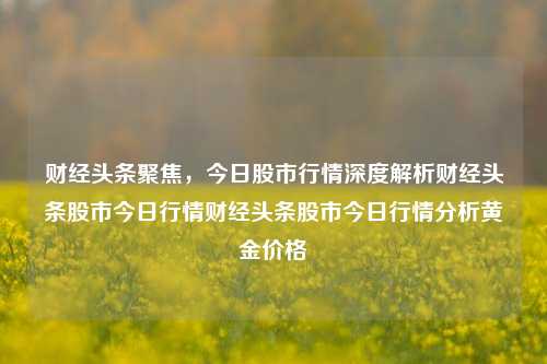 财经头条聚焦，今日股市行情深度解析财经头条股市今日行情财经头条股市今日行情分析黄金价格