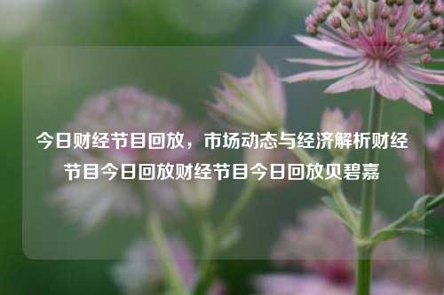 今日财经节目回放，市场动态与经济解析财经节目今日回放财经节目今日回放贝碧嘉