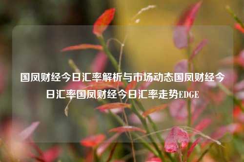 国凤财经今日汇率解析与市场动态国凤财经今日汇率国凤财经今日汇率走势EDGE