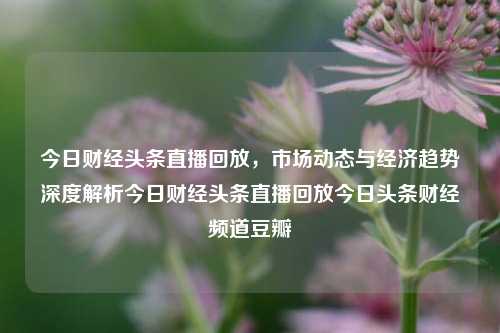 今日财经头条直播回放，市场动态与经济趋势深度解析今日财经头条直播回放今日头条财经频道豆瓣