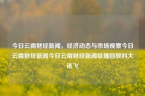 今日云南财经新闻，经济动态与市场观察今日云南财经新闻今日云南财经新闻联播回放科大讯飞