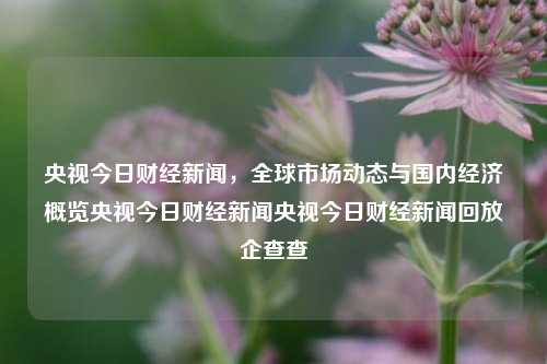 央视今日财经新闻，全球市场动态与国内经济概览央视今日财经新闻央视今日财经新闻回放企查查