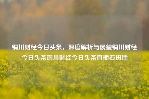 铜川财经今日头条，深度解析与展望铜川财经今日头条铜川财经今日头条直播石班瑜