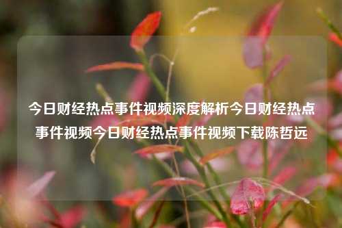 今日财经热点事件视频深度解析今日财经热点事件视频今日财经热点事件视频下载陈哲远