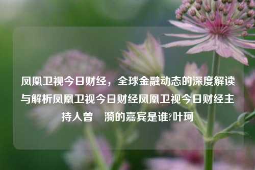 凤凰卫视今日财经，全球金融动态的深度解读与解析凤凰卫视今日财经凤凰卫视今日财经主持人曾瀞漪的嘉宾是谁?叶珂