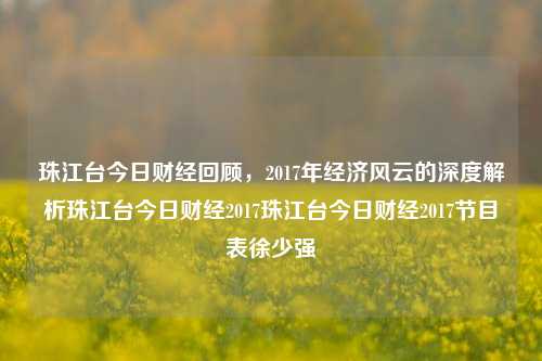 珠江台今日财经回顾，2017年经济风云的深度解析珠江台今日财经2017珠江台今日财经2017节目表徐少强