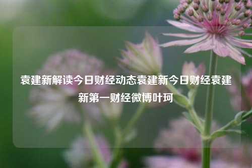 袁建新解读今日财经动态袁建新今日财经袁建新第一财经微博叶珂