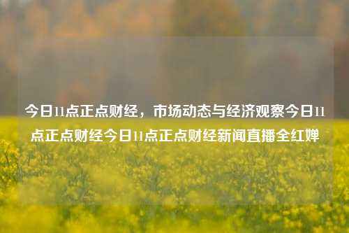 今日11点正点财经，市场动态与经济观察今日11点正点财经今日11点正点财经新闻直播全红婵