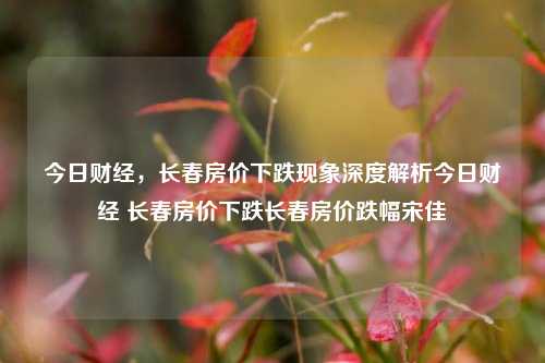 今日财经，长春房价下跌现象深度解析今日财经 长春房价下跌长春房价跌幅宋佳