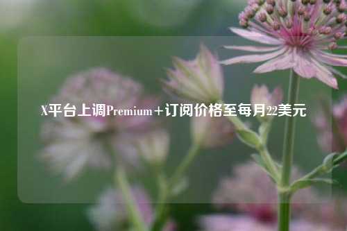 X平台上调Premium+订阅价格至每月22美元