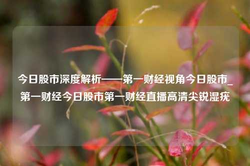 今日股市深度解析——第一财经视角今日股市_第一财经今日股市第一财经直播高清尖锐湿疣