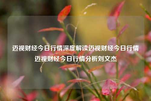 迈视财经今日行情深度解读迈视财经今日行情迈视财经今日行情分析刘文杰