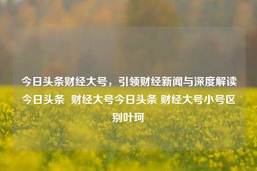 今日头条财经大号，引领财经新闻与深度解读今日头条  财经大号今日头条 财经大号小号区别叶珂