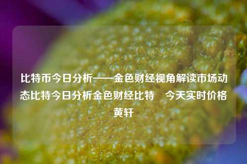 比特币今日分析——金色财经视角解读市场动态比特今日分析金色财经比特帀今天实时价格黄轩