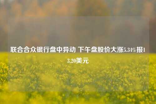 联合合众银行盘中异动 下午盘股价大涨5.34%报13.20美元