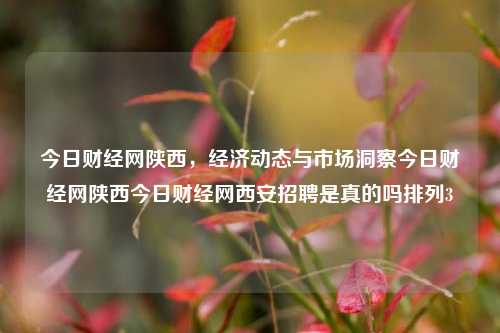 今日财经网陕西，经济动态与市场洞察今日财经网陕西今日财经网西安招聘是真的吗排列3