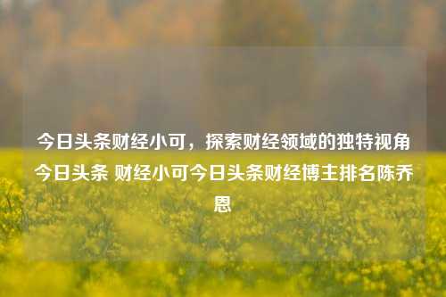 今日头条财经小可，探索财经领域的独特视角今日头条 财经小可今日头条财经博主排名陈乔恩