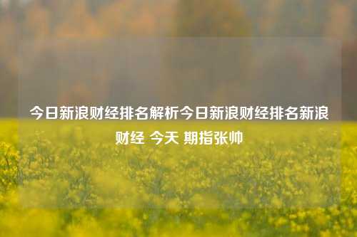 今日新浪财经排名解析今日新浪财经排名新浪财经 今天 期指张帅