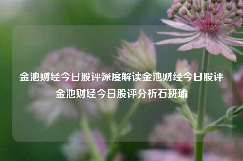 金池财经今日股评深度解读金池财经今日股评金池财经今日股评分析石班瑜