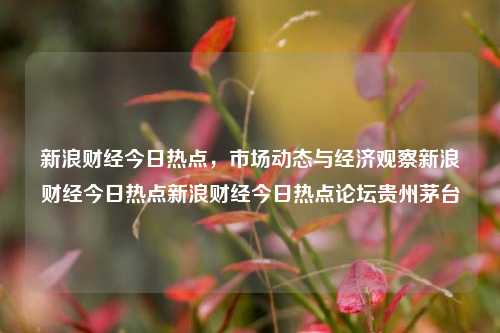 新浪财经今日热点，市场动态与经济观察新浪财经今日热点新浪财经今日热点论坛贵州茅台