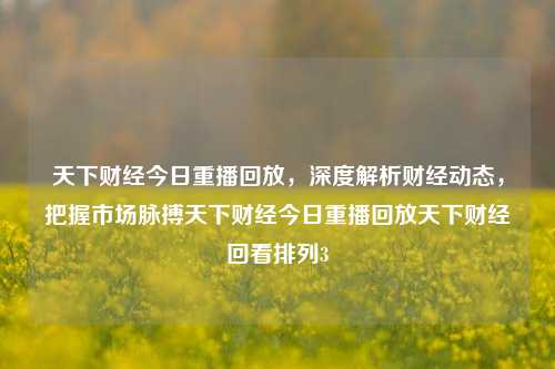 天下财经今日重播回放，深度解析财经动态，把握市场脉搏天下财经今日重播回放天下财经回看排列3