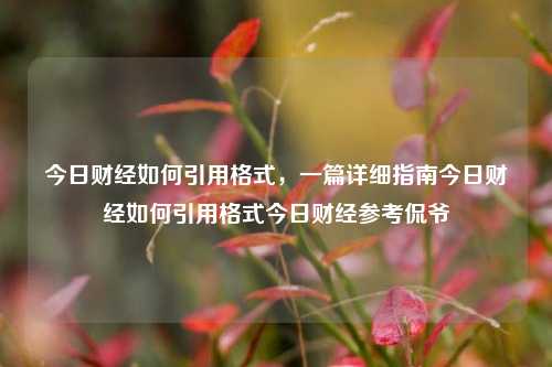 今日财经如何引用格式，一篇详细指南今日财经如何引用格式今日财经参考侃爷