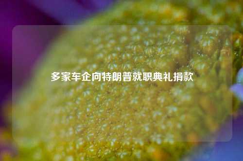 多家车企向特朗普就职典礼捐款