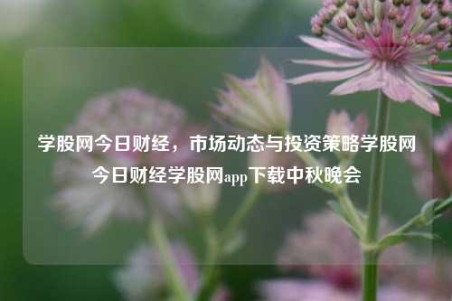 学股网今日财经，市场动态与投资策略学股网今日财经学股网app下载中秋晚会