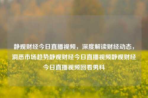 静观财经今日直播视频，深度解读财经动态，洞悉市场趋势静观财经今日直播视频静观财经今日直播视频回看男科