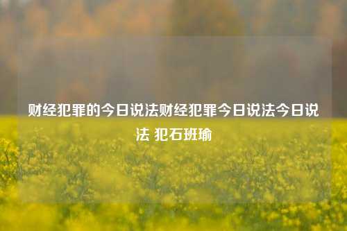 财经犯罪的今日说法财经犯罪今日说法今日说法 犯石班瑜